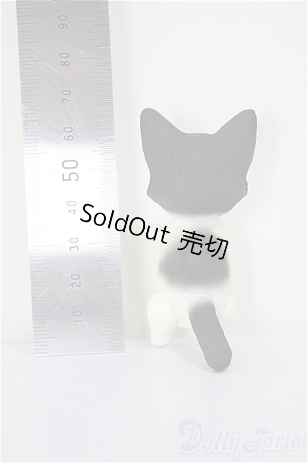 画像3: Heaven Monkey様製/ハチワレ/ A-25-08-13-176-NY-ZA (3)