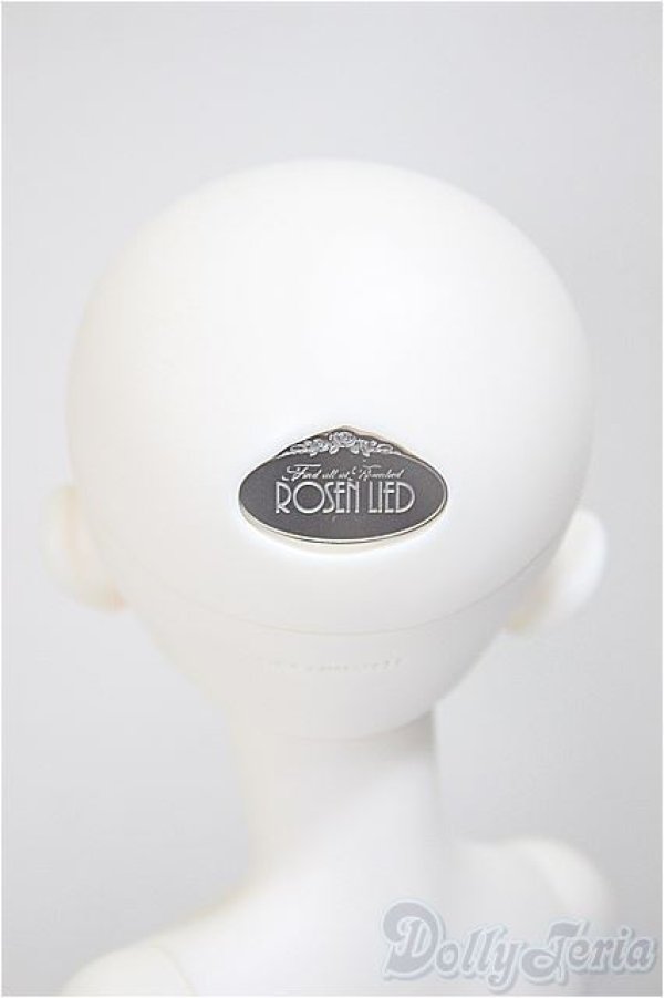 画像4: ROSEN LIED/Soph　ホワイトスキン/BJD　球体関節人形 A-25-08-13-211-NY-ZA (4)