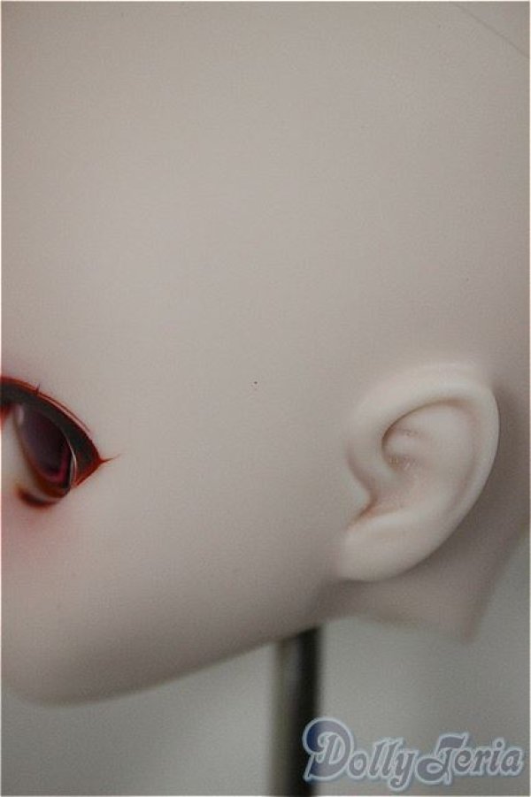 画像5: DD/DDH-01:カスタムヘッド/BJD　球体関節人形 A-25-08-20-109-NY-ZA (5)