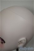 画像5: DD/DDH-01:カスタムヘッド/BJD　球体関節人形 A-25-08-20-110-NY-ZA (5)