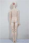 画像6: CharmDoll/Halson/BJD　球体関節人形 A-25-08-20-302-NY-ZA (6)