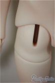 画像7: CharmDoll/Halson/BJD　球体関節人形 A-25-08-20-302-NY-ZA (7)