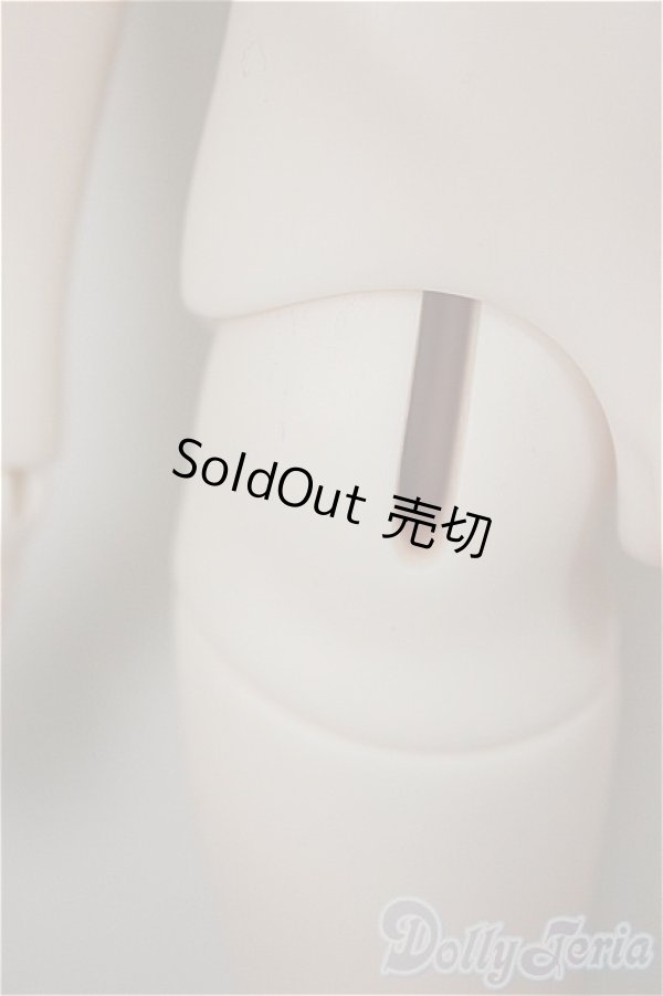 画像7: CharmDoll/Halson/BJD　球体関節人形 A-25-08-20-302-NY-ZA (7)