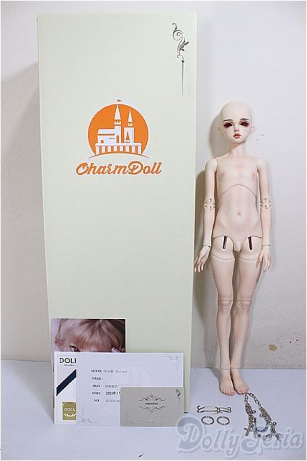 画像8: CharmDoll/Halson/BJD 球体関節人形 A-25-08-20-302-NY-ZA (8)