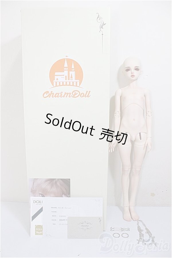 画像8: CharmDoll/Halson/BJD　球体関節人形 A-25-08-20-302-NY-ZA (8)