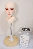 画像5: MARS DOLL/LIMITED RYU A-Type HEAD/BJD　球体関節人形 A-25-08-20-148-NY-ZA (5)