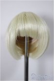 画像1: 4inch/ウィッグ/インチ　BJD　MJD　ドール用 A-25-08-20-165-NY-ZA (1)