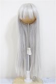 画像1: 9-10inch/ウィッグ/インチ　BJD　MJD　ドール用 A-25-08-20-281-NY-ZA (1)