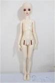 画像5: SPIRIT DOLL/Laurel/BJD　球体関節人形 A-25-08-20-306-NY-ZA (5)