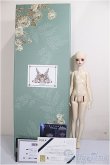 画像9: SPIRIT DOLL/Laurel/BJD　球体関節人形 A-25-08-20-306-NY-ZA (9)