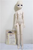画像7: DDP/D’COORD:DDH-10-MO2-SW(S胸)/BJD　球体関節人形 A-25-08-20-336-KD-ZA (7)