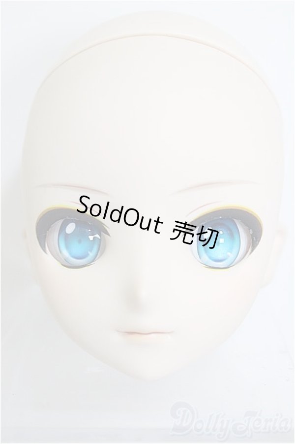 画像1: DDS/鏡音レン オリジナルヘッド/BJD　球体関節人形 A-25-08-20-346-NY-ZA (1)