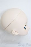 画像3: DDS/鏡音レン オリジナルヘッド/BJD　球体関節人形 A-25-08-20-346-NY-ZA (3)