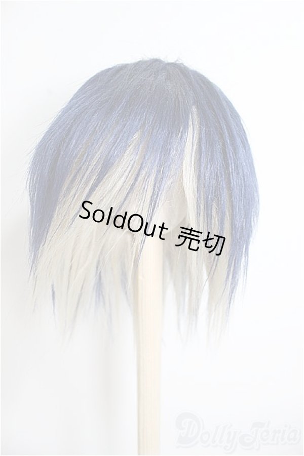 画像1: 9inch/ウィッグ/インチ　BJD　MJD　ドール用 A-25-08-20-357-NY-ZA (1)