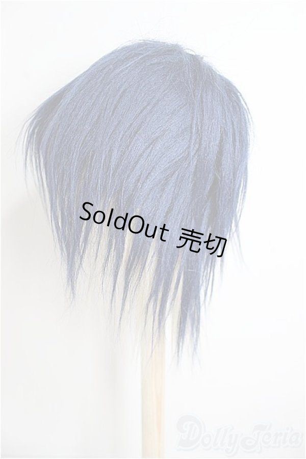 画像2: 9inch/ウィッグ/インチ　BJD　MJD　ドール用 A-25-08-20-357-NY-ZA (2)