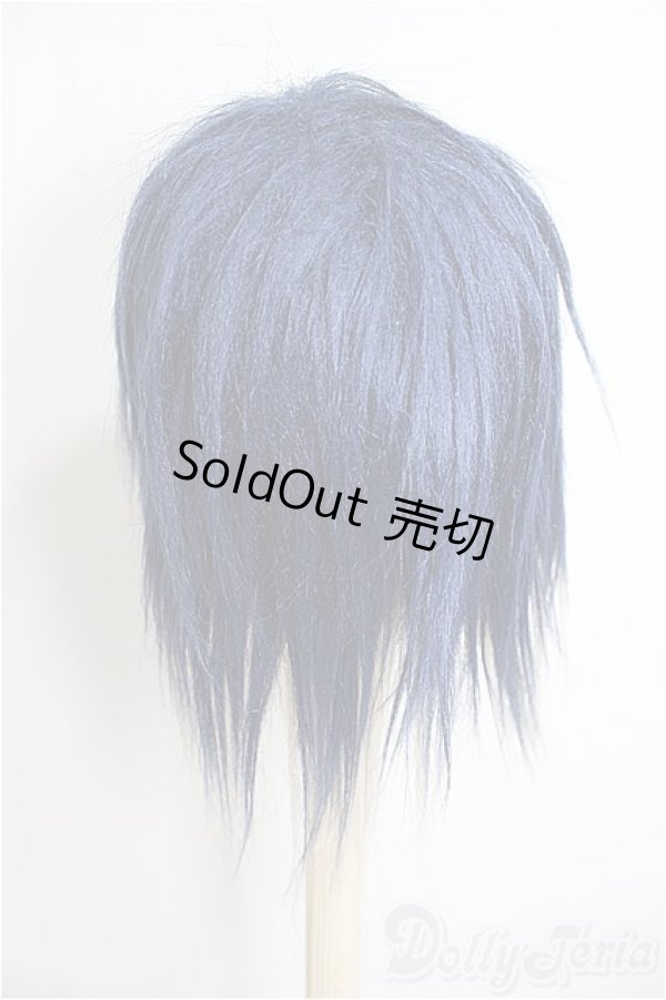 画像3: 9inch/ウィッグ/インチ　BJD　MJD　ドール用 A-25-08-20-357-NY-ZA (3)