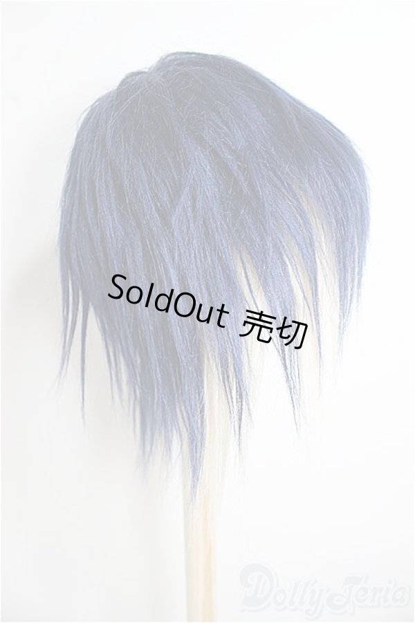 画像4: 9inch/ウィッグ/インチ　BJD　MJD　ドール用 A-25-08-20-357-NY-ZA (4)