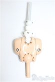 画像1: DD/上半身フレーム/BJD　球体関節人形 A-25-08-20-359-NY-ZA (1)