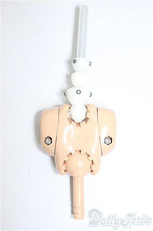 画像1: DD/上半身フレーム/BJD　球体関節人形 A-25-08-20-359-NY-ZA (1)