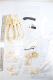 画像2: 一万回の脱出計画シリーズ/クラウドファンディング特典 ボディパーツ+衣装セット/ A-25-08-20-321-NY-ZA (2)