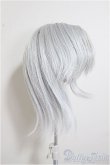 画像4: 8-9inch/ウィッグ/インチ　BJD　MJD　ドール用 A-25-08-20-389-NY-ZA (4)