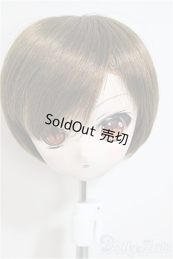 画像1: DD/DDH-01:カスタムヘッド/BJD　球体関節人形 A-25-08-20-381-NY-ZA (1)
