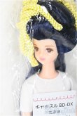 画像1: リカちゃんキャッスル/たまき：キャッスル BD-DX/BJD　球体関節人形 A-26-02-04-401-NY-ZA (1)