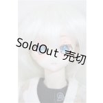 画像: DDH-10/DDSボディ・衣装 A-25-08-27-188-NY-ZA