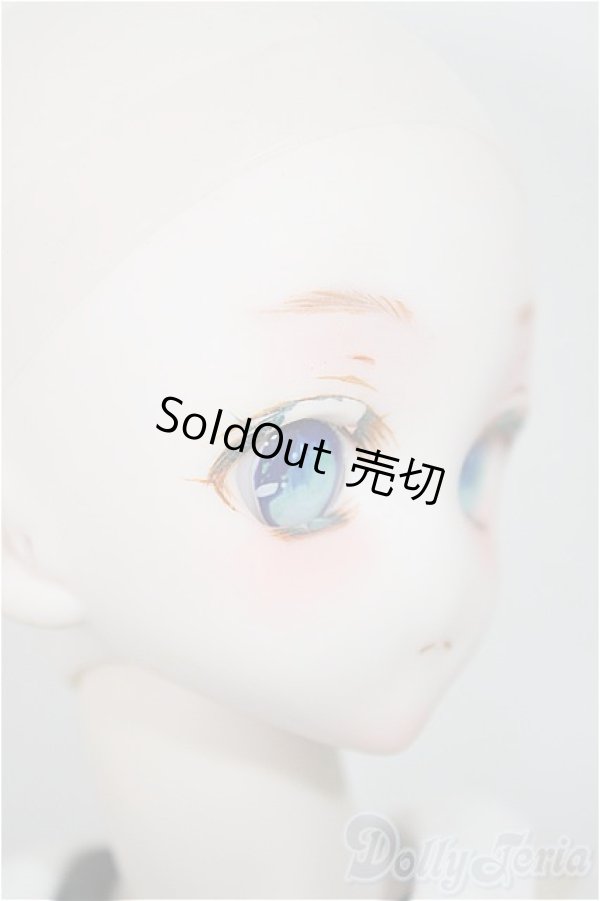 画像3: DDH-10/DDSボディ・衣装 A-25-08-27-188-NY-ZA (3)