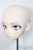 画像3: DDH-05/iodoll様カスタム A-25-08-27-150-NY-ZA (3)