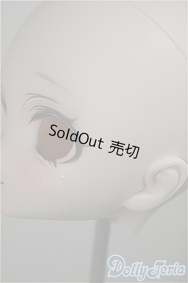 画像6: DD/DDH-27:カスタムヘッド A-25-08-27-140-NY-ZA (6)