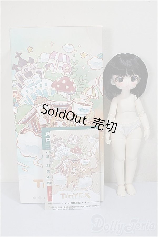 画像9: TinyFox/DEBBY//海外製キャストドール (9)