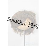 画像: 8-9inch/ウィッグ　W-163D/インチ　BJD　MJD　ドール用 A-25-08-27-220-NY-ZA