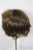 画像2: 8-9inch/ウィッグ　W-163D/インチ　BJD　MJD　ドール用 A-25-08-27-220-NY-ZA (2)