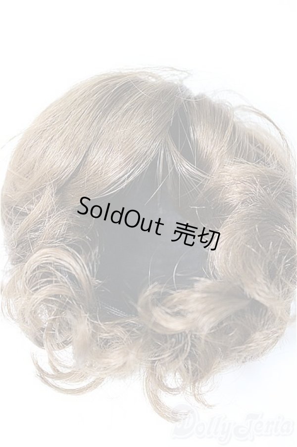 画像3: 8-9inch/ウィッグ　W-163D/インチ　BJD　MJD　ドール用 A-25-08-27-220-NY-ZA (3)