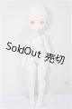 画像: TinyFox/新1/6スケールドール素体＋X-02/BJD　球体関節人形 A-25-08-27-201-NY-ZA
