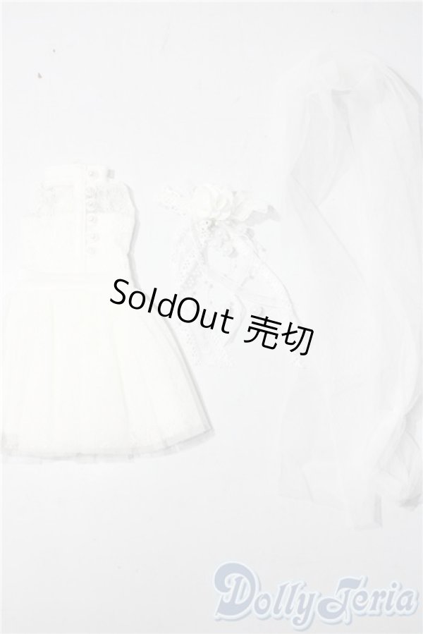 画像1: SDM＆MSD/OF:衣装セット U-25-11-12-056-NY-ZU (1)