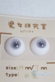 画像2: レジンアイ/14mm A-25-09-03-009-NY-ZA (2)