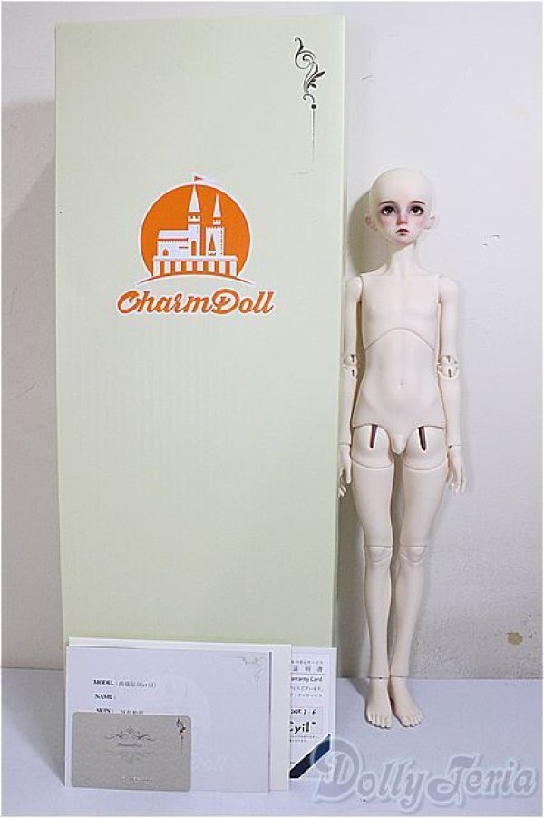画像8: CharmDoll/Cyil A-25-08-27-355-NY-ZA (8)