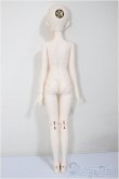画像6: XAGADOLL/Mini　Li　xia A-25-08-27-353-NY-ZA (6)