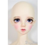 画像: DREAMING DOLL/Noah A-25-08-27-357-NY-ZA