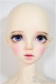 画像: DREAMING DOLL/Noah A-25-08-27-357-NY-ZA