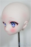 画像3: DDH-28/Petit Ribbon様カスタム/BJD　球体関節人形 A-25-09-03-113-NY-ZA (3)