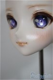 画像5: DDH-09カスタムヘッド/BJD　球体関節人形 A-25-09-03-110-NY-ZA (5)