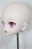 画像3: DDH-27/plusmoon様カスタムメイクヘッド/BJD　球体関節人形 A-25-09-03-109-NY-ZA (3)