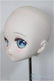 画像3: DD/カスタムヘッド:DDH-22/BJD　球体関節人形 A-25-09-03-108-NY-ZA (3)