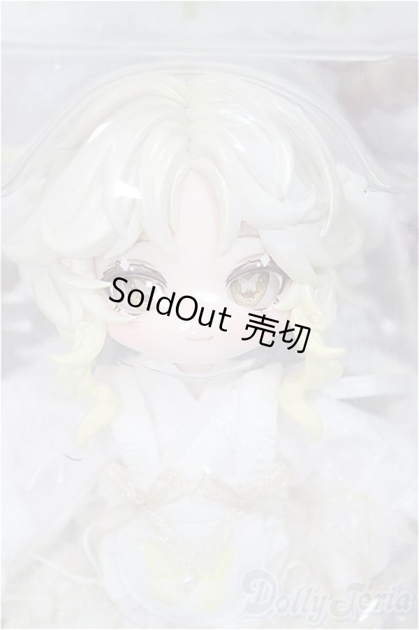 画像1: 不可食用人形 Inedible Doll/月飛び時間シリーズ夢伊/ A-25-09-03-162-NY-ZA (1)