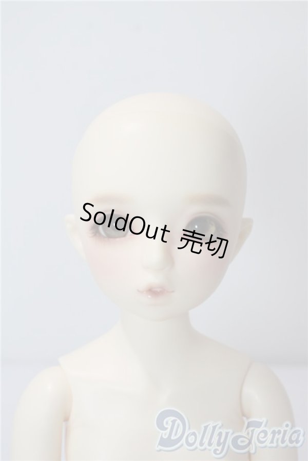 画像3: SDM女の子/まこ　スタンダードモデル U-25-09-02-212-NY-ZU (3)