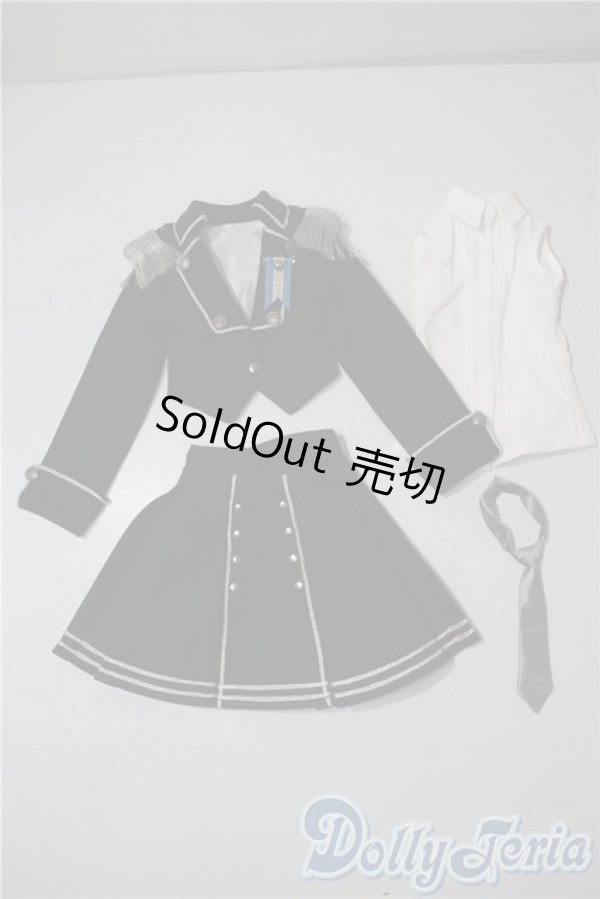 画像1: SD/OF:VOLKS シルバーブラックセット U-25-09-02-168-NY-ZU (1)