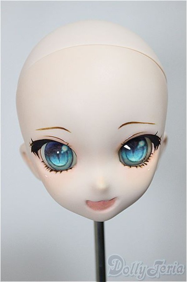 画像1: DD/DDH-10 カスタムヘッド 屋根裏Circus様製 A-25-09-03-233-NY-ZA (1)